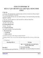 Giáo án Sinh học 10 bài 11: Vận chuyển các chất qua màng sinh chất