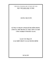 Xử phạt vi phạm vi phạm hành chính trong lĩnh vực môi trường từ thực tiễn các khu công nghiệp ở tỉnh Bắc Giang (Luận văn thạc sĩ)