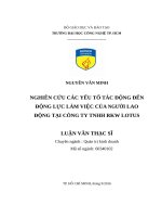 Nghiên cứu các yếu tố tác động đến động lực làm việc của người lao động tại công ty TNHH RKW lotus 