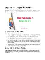 Soạn văn bài xa ngắm thác núi lư