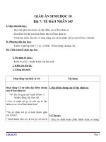 Giáo án Sinh học 10 bài 7: Tế bào nhân sơ