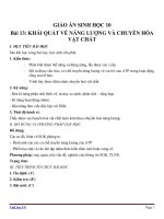 Giáo án Sinh học 10 bài 13: Khái quát về năng lượng và chuyển hóa vật chất