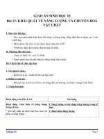 Giáo án Sinh học 10 bài 13: Khái quát về năng lượng và chuyển hóa vật chất