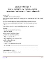Giáo án Sinh học 10 bài 14: Enzim và vai trò của enzim trong quá trình chuyển hóa vật chất
