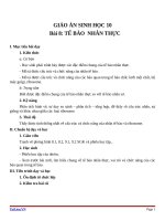 Giáo án Sinh học 10 bài 8: Tế bào nhân thực