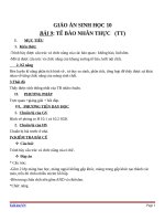 Giáo án Sinh học 10 bài 9: Tế bào nhân thực (tiếp theo)