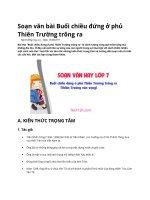 Soạn văn bài buổi chiều đứng ở phủ thiên trường trông ra