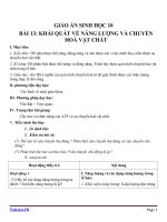 Giáo án Sinh học 10 bài 13: Khái quát về năng lượng và chuyển hóa vật chất