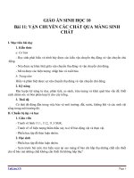 Giáo án Sinh học 10 bài 11: Vận chuyển các chất qua màng sinh chất