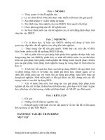 ứng dụng kinh nghiệm xử lý ảnh, phim và âm thanh vào thiết kế giáo án điện tử trong dạy học Lịch sử địa phương Kim Thành.