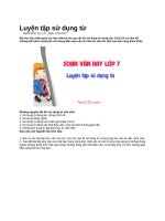 Luyện tập sử dụng từ