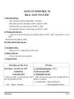 Giáo án Sinh học 10 bài 6: Axit nuclêic