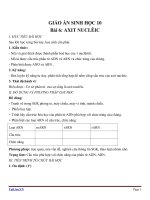 Giáo án Sinh học 10 bài 6: Axit nuclêic
