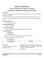 Giáo án Sinh học 10 bài 14: Enzim và vai trò của enzim trong quá trình chuyển hóa vật chất