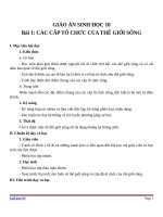 Giáo án Sinh học 10 bài 1: Các cấp trong tổ chức thế giới sống