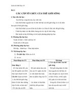 Giáo án Sinh học 10 bài 1: Các cấp trong tổ chức thế giới sống