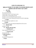 Giáo án Sinh học 10 bài 14: Enzim và vai trò của enzim trong quá trình chuyển hóa vật chất