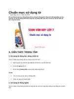 Chuẩn mực sử dụng từ