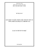 Xung đột văn hóa trong tiểu thuyết viết về nông thôn giai đoạn từ 1986 đến nay