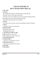 Giáo án Sinh học 10 bài 9: Tế bào nhân thực (tiếp theo)