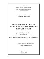 Chính sách hình sự Việt nam đối với người dưới 18 tuổi phạm tội Khía cạnh so sách (Luận văn thạc sĩ)
