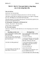 Giáo án Sinh học 10 bài 31: Virut gây bệnh. Ứng dụng của virut trong thực tiễn