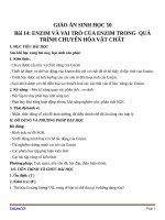 Giáo án Sinh học 10 bài 14: Enzim và vai trò của enzim trong quá trình chuyển hóa vật chất