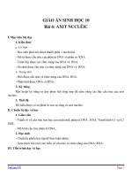 Giáo án Sinh học 10 bài 6: Axit nuclêic