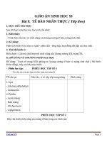 Giáo án Sinh học 10 bài 9: Tế bào nhân thực (tiếp theo)