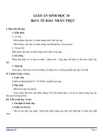 Giáo án Sinh học 10 bài 9: Tế bào nhân thực (tiếp theo)