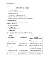 Giáo án Sinh học 10 bài 2: Các giới sinh vật