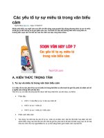 Các yếu tố tự sự miêu tả trong văn biểu cảm