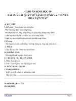 Giáo án Sinh học 10 bài 13: Khái quát về năng lượng và chuyển hóa vật chất