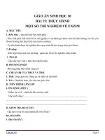 Giáo án Sinh học 10 bài 15: Thực hành một số thí nghiệm về enzim