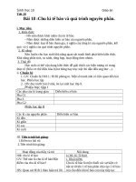 Giáo án Sinh học 10 bài 18: Chu kì tế bào và quá trình nguyên phân