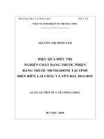 Hiệu quả điều trị nghiện chất dạng thuốc phiện bằng thuốc Methadone tại tỉnh Điện Biên, Lai Châu và Yên Bái, 20142015
