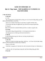 Giáo án Sinh học 10 bài 12: Thực hành thí nghiệm co và phản co nguyên sinh