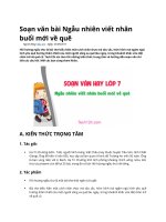 Soạn văn bài ngẫu nhiên viết nhân buổi mới về quê