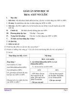 Giáo án Sinh học 10 bài 6: Axit nuclêic
