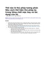 Thế nào là thủ pháp tương phản nêu cách thể hiện thủ pháp ấy trong sống chết mặc bay và tác dụng của nó