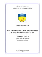 Điều khiển động cơ không đồng bộ ba pha sử dụng bộ điều khiển fuzzy foc 
