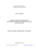 Đánh giá khả năng sinh trưởng, phát triển của một số tổ hợp ngô lai mới tại thái nguyên 