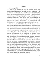 LUẬN văn THẠC sĩ   vận dụng nguyên tắc thống nhất giữa lý luận và thực tiễn trong giảng dạy các môn khoa học xã hội và nhân văn ở trường sĩ quan lục quân 2