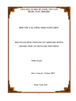 CHUYÊN ĐỀ:  MỘT SỐ GIẢI PHÁP CHĂM SÓC SỨC KHỎE HỌC ĐƯỜNG  CHO HỌC SINH CẤP TRUNG HỌC PHỔ THÔNG