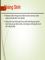 Bài giảng kháng sinh betalactam (phần 1) - Trường Trung cấp Phương Nam