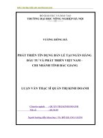 Phát triển tín dụng bán lẻ tại ngân hàng đầu tư và phát triển việt nam chi nhánh tỉnh bắc giang 