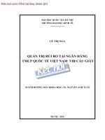 Quản trị rủi ro tại ngân hàng TMCP quốc tế việt nam VIB cầu giấy  