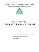 Báo cáo thử việc dây chuyền sản xuất mì tại công ty cổ phần thực phẩm á châu