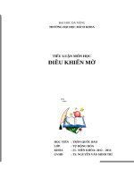 Tiểu luận môn học điều khiển mờ