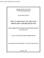FDI của nhật bản vào việt nam trong bối cảnh hội nhập WTO  